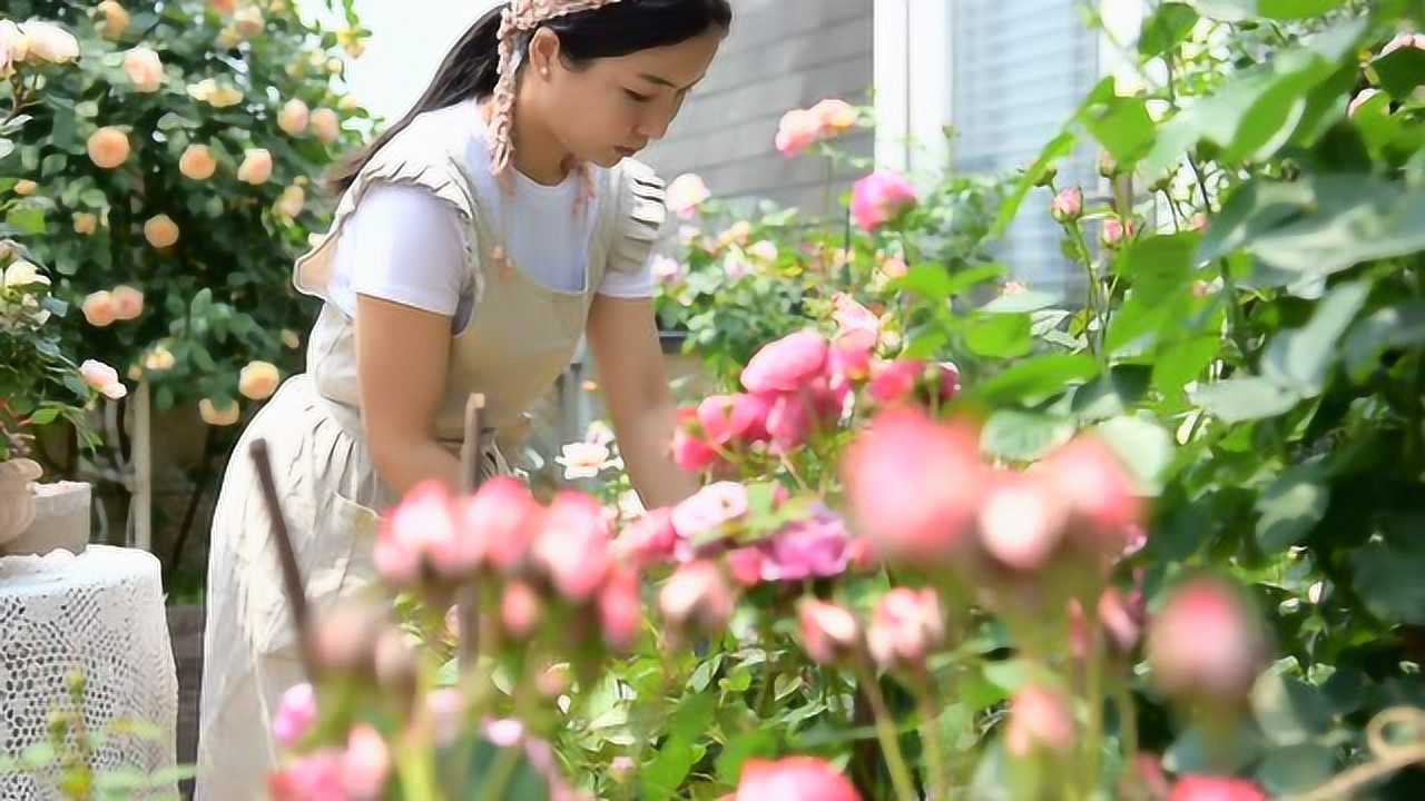 365花园最新视频,解锁生活小确幸的秘密花园 365花园最新视频,解锁生活小确幸的秘密花园