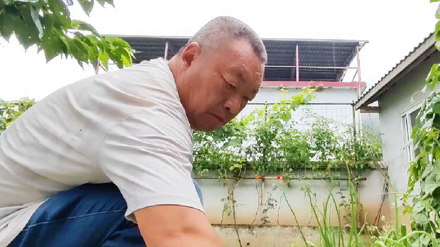 农民365北京视频，记录乡村生活的真实脉动