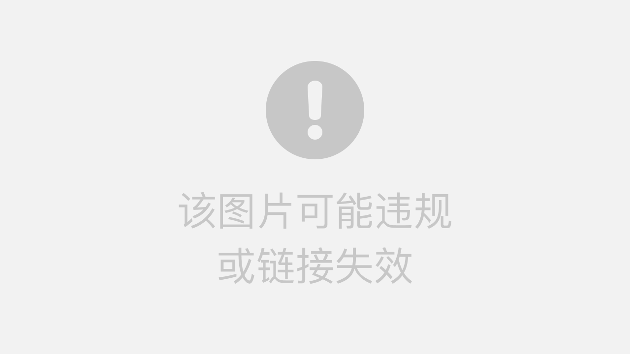 365张照片变视频一天，我用Go语言写了个工具，把一整年的回忆压缩成60秒